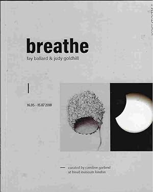 Seller image for Breathe for sale by Walden Books