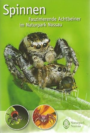 Spinnen - Faszinierende Achtbeiner im Naturpark Nassau. [Spiders - Fascinating Eight legged Frien...