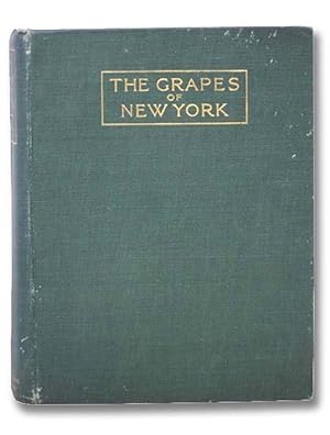 Immagine del venditore per The Grapes of New York (Report of the New York Agricultural Experiment Station for the Year 1907, Volume II) (State of New York - Department of Agriculture Fifteen Annual Report, Vol. 3, Part II) venduto da Yesterday's Muse, ABAA, ILAB, IOBA