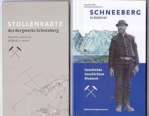 Schneeberg : Geschichte - Geschichten - Museum. Harald Haller ; Hermann Schölzhorn. Mit einem Bei...
