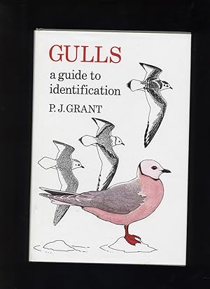 Image du vendeur pour Gulls - a guide to identification mis en vente par Calluna Books