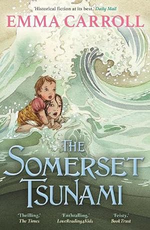 Seller image for The Somerset Tsunami (Paperback) for sale by Grand Eagle Retail