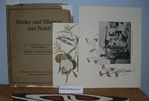 Imagen del vendedor de Bilder und Blumen aus Natal. Mappe mit 9 Bildern. a la venta por Antiquariat Welwitschia Dr. Andreas Eckl