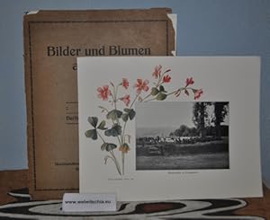 Imagen del vendedor de Bilder und Blumen aus Natal. Mappe mit 10 Bildern. a la venta por Antiquariat Welwitschia Dr. Andreas Eckl