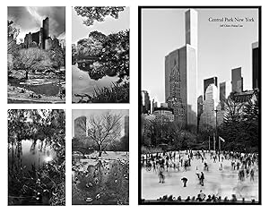Jeff Liao: Central Park New York, Special Limited Edition (with 4 Prints)