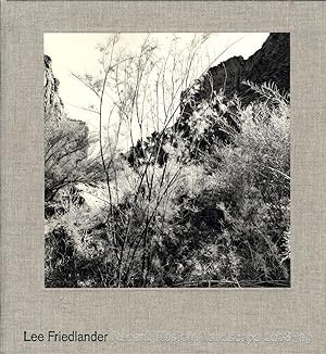 Immagine del venditore per Lee Friedlander: Recent Western Landscape 2008-09 (Mary Boone Gallery), Limited Edition venduto da Vincent Borrelli, Bookseller