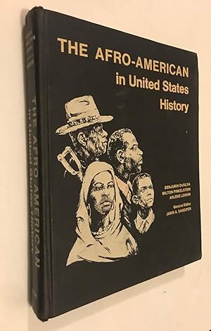 The Afro-American in United States History