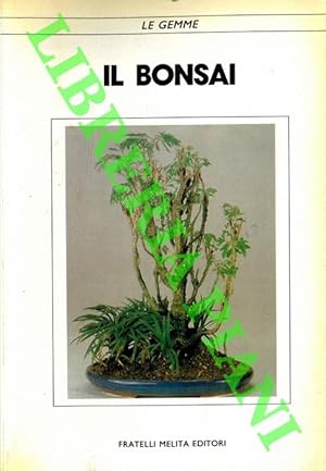 Il bonsai.