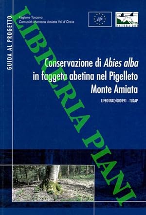 Conservazione di Abies alba in faggetta abetina nel Pigellato Monte Amiata.