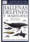 Ballenas, delfines y marsopas: una guía visual de todos los cetáceos