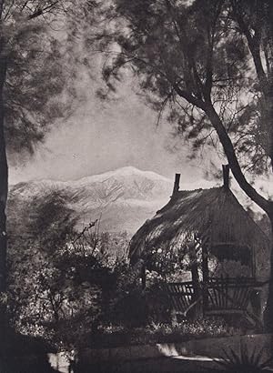 Bild des Verkufers fr Redlands. 'Twixt Mountains, Desert and the Sea zum Verkauf von ERIC CHAIM KLINE, BOOKSELLER (ABAA ILAB)