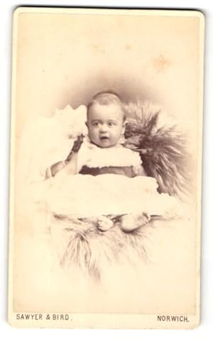 Photo Sawyer, Bird, Norwich, Portrait niedliches Baby im Taufkleidchen