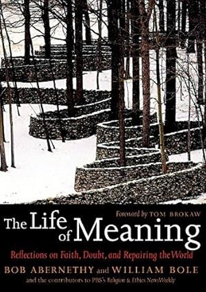 Seller image for The Life of Meaning: Reflections on Faith, Doubt, and Repairing the World for sale by Bellwetherbooks