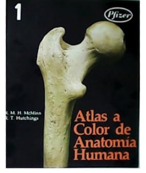 Seller image for Atlas a color de Anatoma Humana. for sale by Librera y Editorial Renacimiento, S.A.