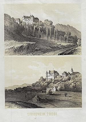 Bild des Verkufers fr 2 Ansichten auf 1 Blatt, Oben Frauheim bei Wildon, darunter DOBL bei Graz. zum Verkauf von Antiquariat Clemens Paulusch GmbH