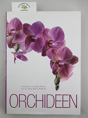 Bild des Verkufers fr Orchideen. Fotografien : Fabio Petroni. Texte : Anna Maria Botticelli. [bersetzung: Karin Hofmann] zum Verkauf von Chiemgauer Internet Antiquariat GbR