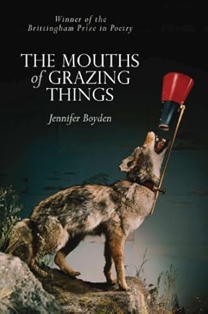 Seller image for The Mouths of Grazing Things (Wisconsin Poetry Series) by Boyden, Jennifer [Paperback ] for sale by booksXpress