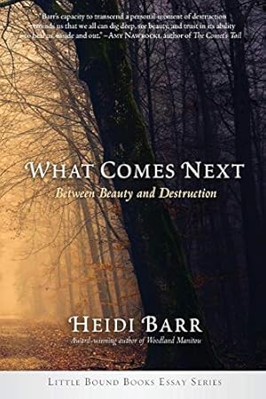Seller image for What Comes Next by Barr, Heidi [Paperback ] for sale by booksXpress