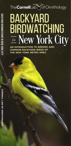 Immagine del venditore per Backyard Birdwatching in New York City: An Introduction to Birding and Common Backyard Birds of the New York Metro Area (Wildlife and Nature Identification) by Waterford Press, The Cornell Lab of Ornithology [Pamphlet ] venduto da booksXpress