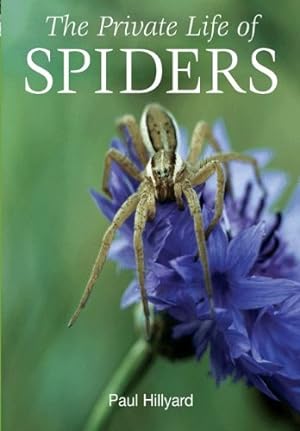 Immagine del venditore per The Private Life of Spiders by Hillyard, Paul [Paperback ] venduto da booksXpress