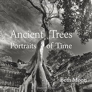 Immagine del venditore per Ancient Trees: Portraits of Time by Moon, Beth [Hardcover ] venduto da booksXpress