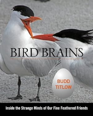 Seller image for Bird Brains: Inside The Strange Minds Of Our Fine Feathered Friends by Titlow, Budd [Hardcover ] for sale by booksXpress