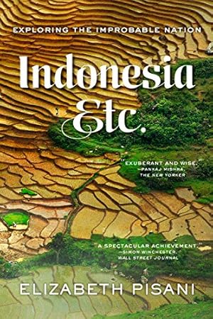 Seller image for Indonesia, Etc.: Exploring the Improbable Nation by Pisani, Elizabeth [Paperback ] for sale by booksXpress