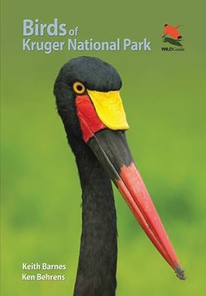 Seller image for Birds of Kruger National Park (Wildlife Explorer Guides) by Barnes, Keith, Behrens, Ken [Paperback ] for sale by booksXpress
