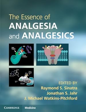 Immagine del venditore per The Essence of Analgesia and Analgesics (Cambridge Medicine (Paperback)) [Paperback ] venduto da booksXpress