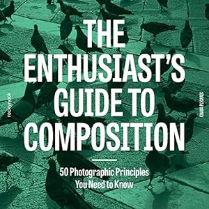 Seller image for The Enthusiast's Guide to Composition: 48 Photographic Principles You Need to Know by Plicanic, Khara [Paperback ] for sale by booksXpress