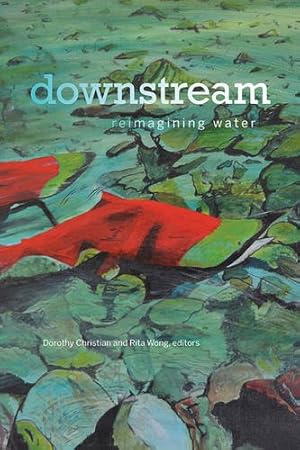 Bild des Verkufers fr downstream: reimagining water (Environmental Humanities) [Paperback ] zum Verkauf von booksXpress