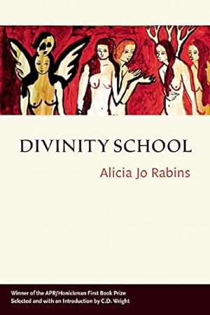 Seller image for Divinity School by Rabins, Alicia Jo [Paperback ] for sale by booksXpress