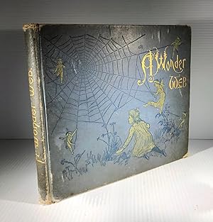 A Wonder Web of Stories