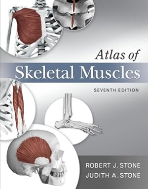 Imagen del vendedor de Atlas of Skeletal Muscles by Stone, Judith A., Stone, Robert J. [Spiral-bound ] a la venta por booksXpress