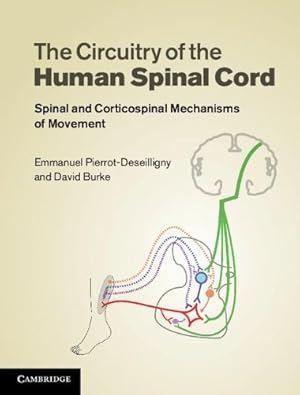 Image du vendeur pour The Circuitry of the Human Spinal Cord: Spinal and Corticospinal Mechanisms of Movement by Pierrot-Deseilligny, Emmanuel, Burke, David [Hardcover ] mis en vente par booksXpress