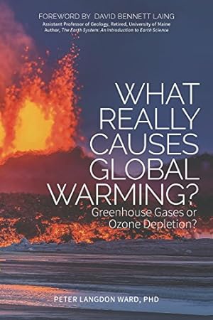 Seller image for What Really Causes Global Warming?: Greenhouse Gases or Ozone Depletion? by Ward Ph.D, Peter Langdon [Paperback ] for sale by booksXpress