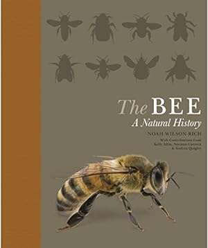 Immagine del venditore per The Bee: A Natural History by Wilson-Rich, Noah [Paperback ] venduto da booksXpress