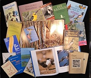 19 Bücher zum Thema Vögel / Ornithologie.