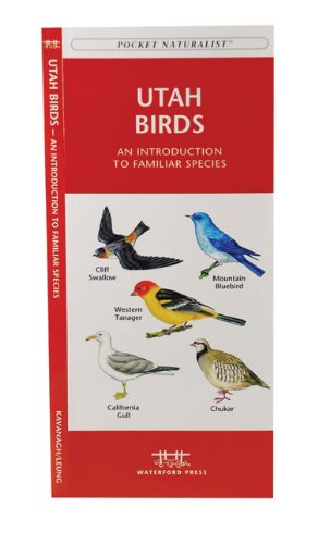 Seller image for Utah Birds: A Folding Pocket Guide to Familiar Species (A Pocket Naturalist Guide) by Kavanagh, James, Press, Waterford [Pamphlet ] for sale by booksXpress