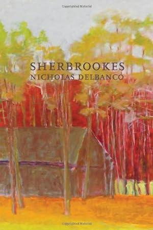Bild des Verkufers fr Sherbrookes: Possession / Sherbrookes / Stillness (American Literature Series) by Delbanco, Author Nicholas [Paperback ] zum Verkauf von booksXpress