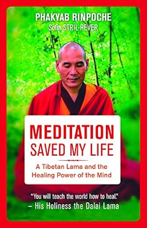 Bild des Verkufers fr Meditation Saved My Life: A Tibetan Lama and the Healing Power of the Mind by Rinpoche, Phakyab [Paperback ] zum Verkauf von booksXpress