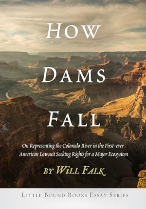Seller image for How Dams Fall by Falk, Will [Paperback ] for sale by booksXpress