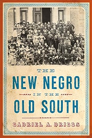 Imagen del vendedor de The New Negro in the Old South (The American Literatures Initiative) by Briggs, Gabriel A. [Paperback ] a la venta por booksXpress