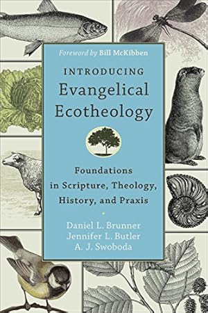 Bild des Verkufers fr Introducing Evangelical Ecotheology: Foundations in Scripture, Theology, History, and Praxis by Brunner, Daniel L., Butler, Jennifer L., Swoboda, A. J. [Paperback ] zum Verkauf von booksXpress