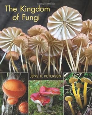 Imagen del vendedor de The Kingdom of Fungi by Petersen, Jens H. [Hardcover ] a la venta por booksXpress