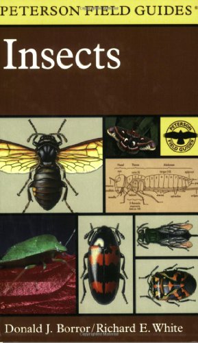 Imagen del vendedor de A Field Guide to Insects: America North of Mexico by Borror, Donald J., White, Richard E. [Paperback ] a la venta por booksXpress