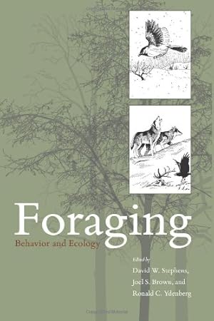 Imagen del vendedor de Foraging: Behavior and Ecology [Paperback ] a la venta por booksXpress