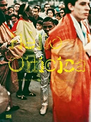 Seller image for Hélio Oiticica: The Great Labyrinth by Oiticica, Helio, Cruz, Max Hinderer [Paperback ] for sale by booksXpress