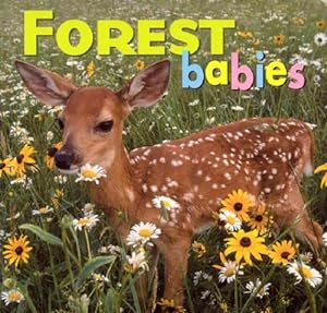 Bild des Verkufers fr Forest Babies (Animal Babies) by Kristen McCurry, Aimee Jackson [Board book ] zum Verkauf von booksXpress