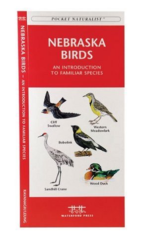Seller image for Nebraska Birds: A Folding Pocket Guide to Familiar Species (A Pocket Naturalist Guide) by Kavanagh, James, Press, Waterford [Pamphlet ] for sale by booksXpress